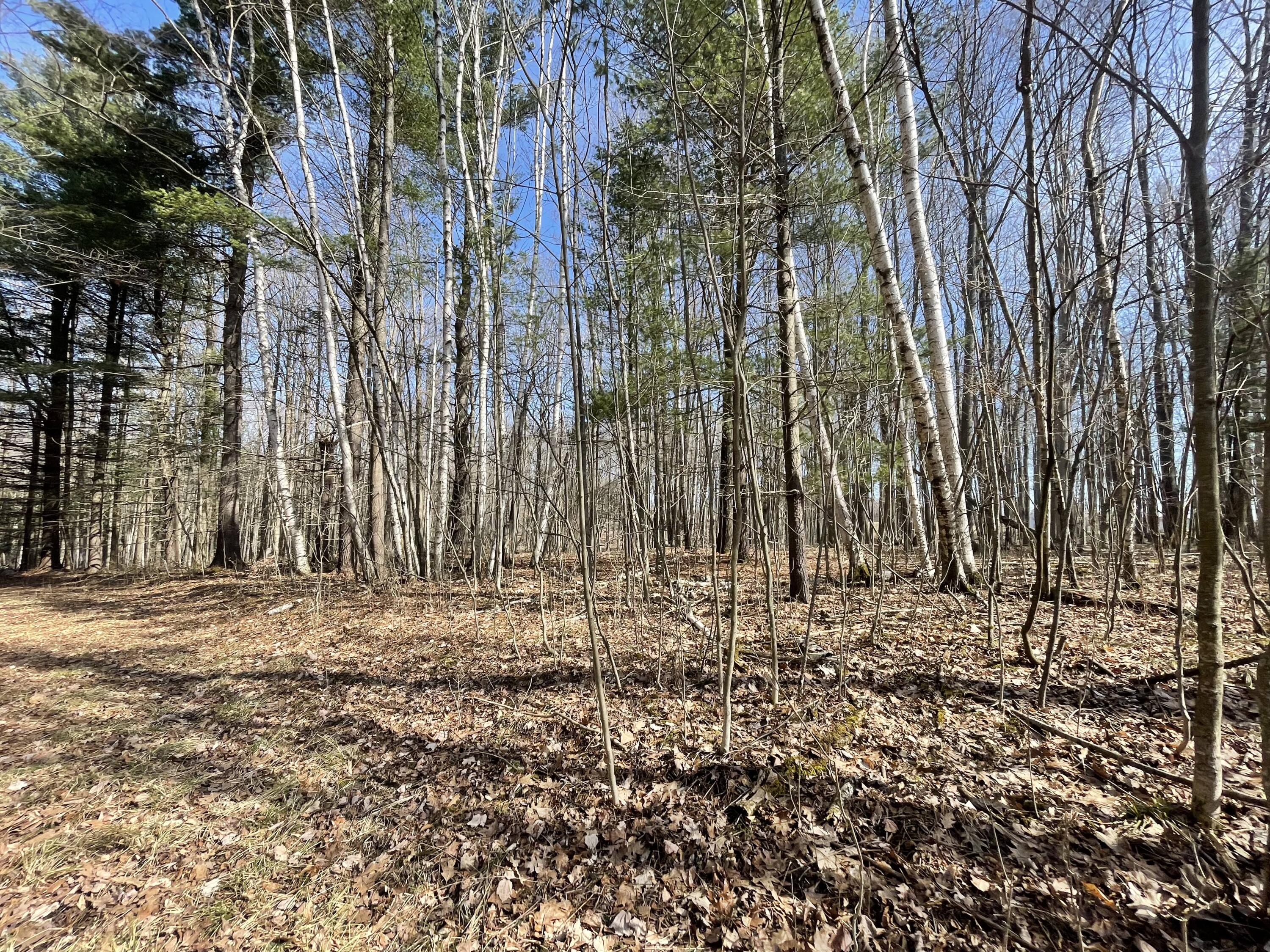 148 A 12 Mile Road Leroy, MI 49655 - Photo 6 of 24 6