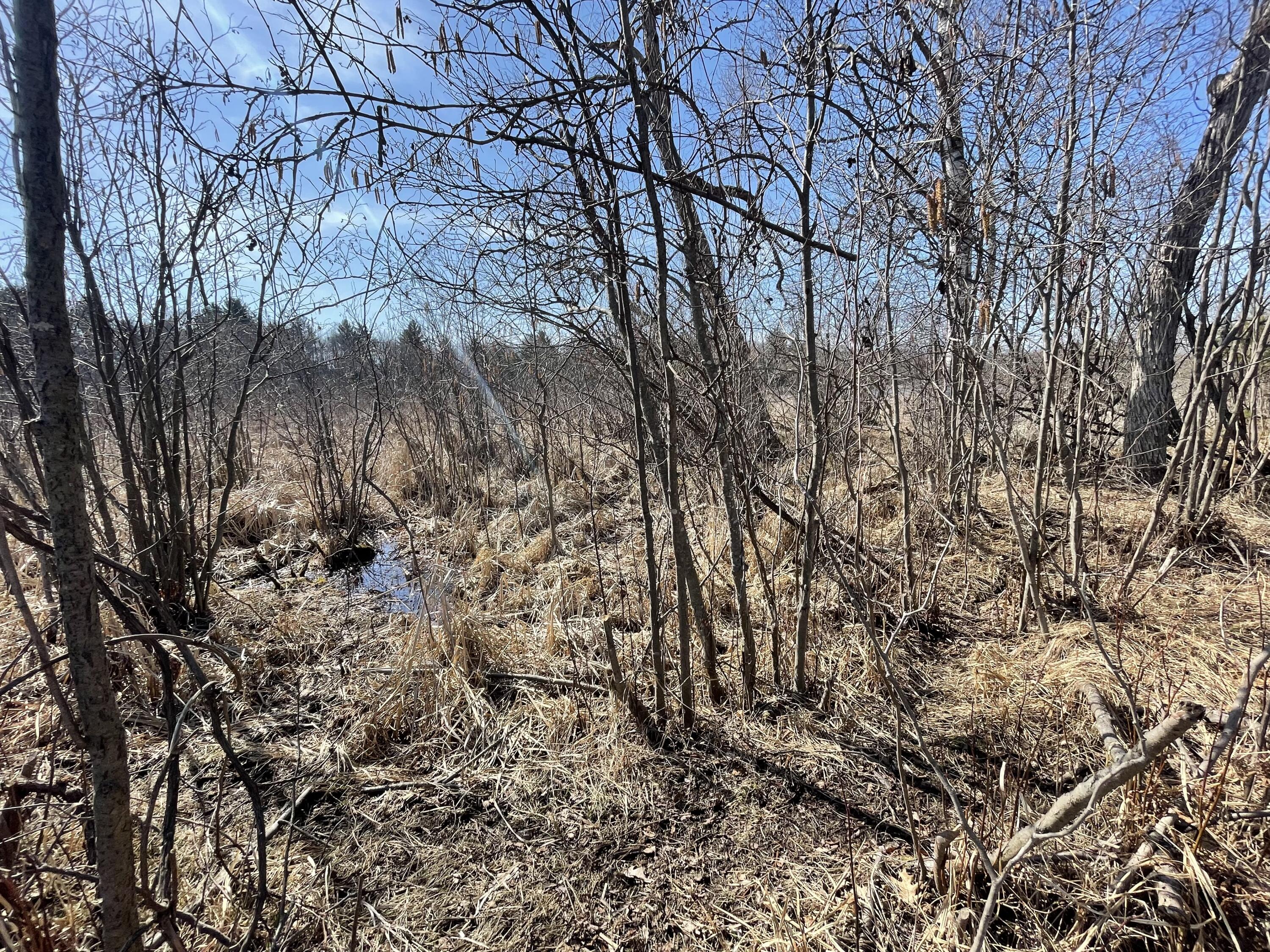148 A 12 Mile Road Leroy, MI 49655 - Photo 8 of 24 8