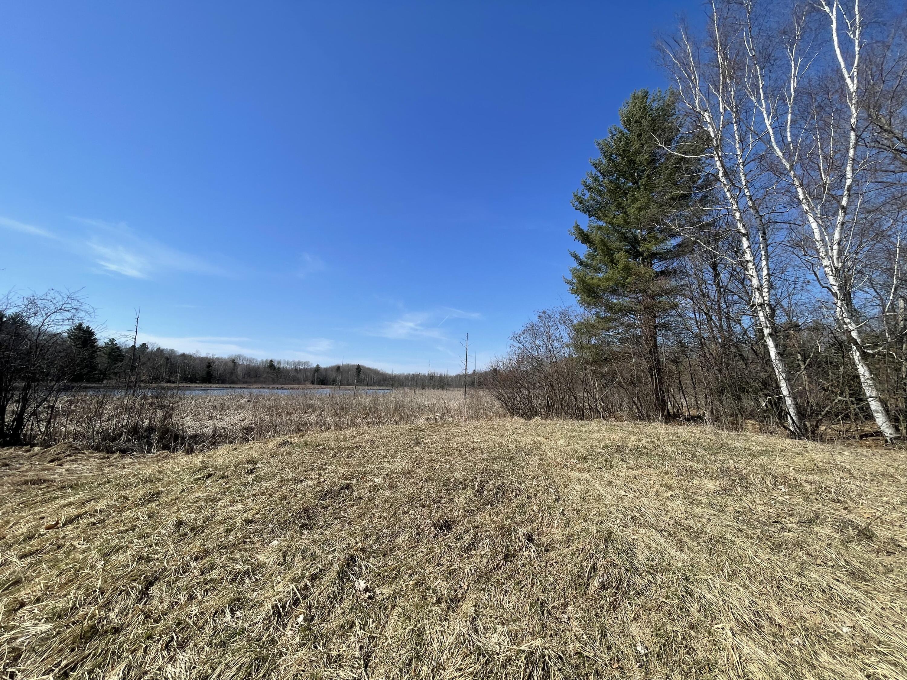 148 A 12 Mile Road Leroy, MI 49655 - Photo 9 of 24 9