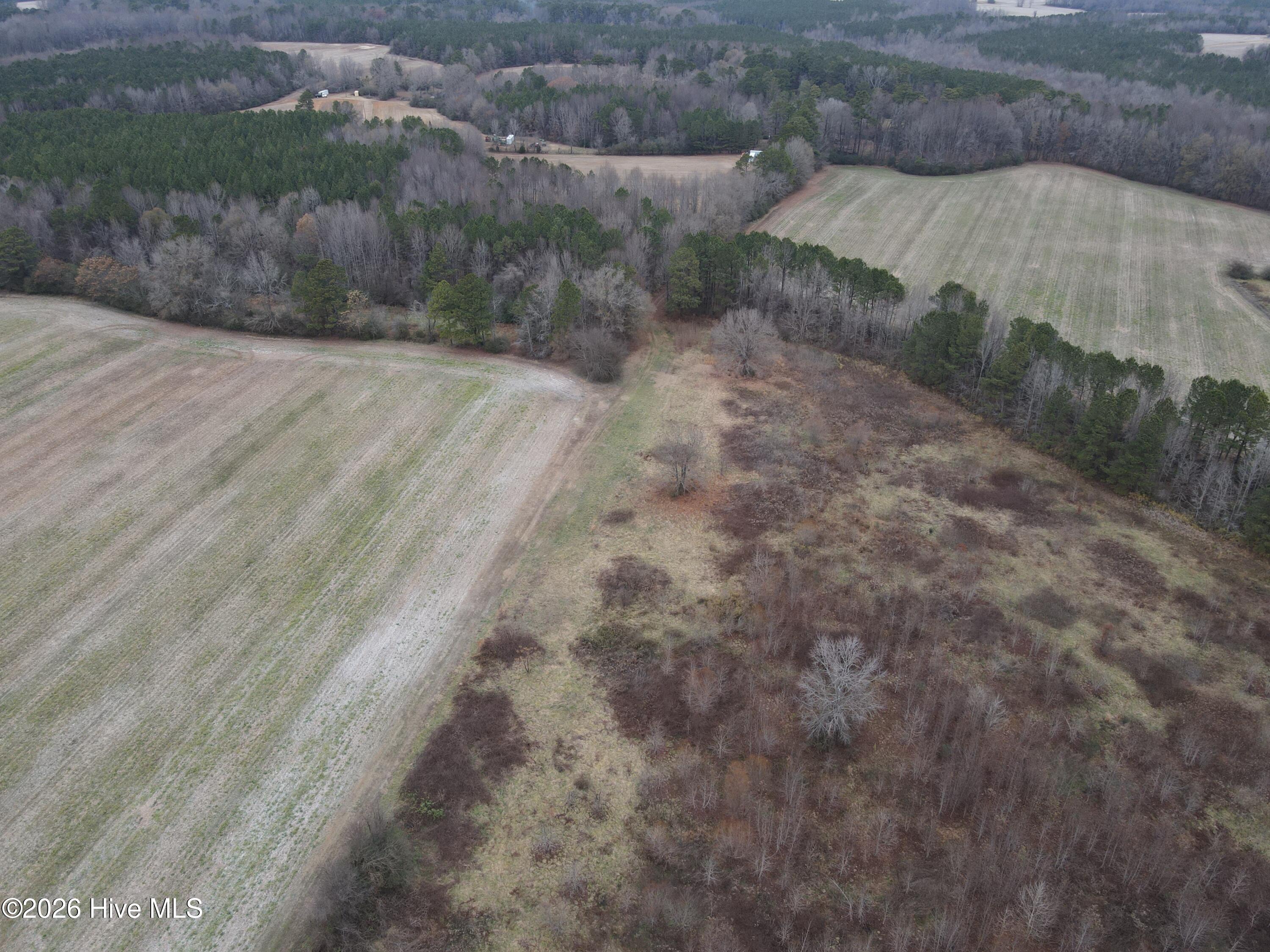 8201 Cedar Grove School Loop Road Nashville, NC 27856 - Photo 31 of 68 CG MLS 31