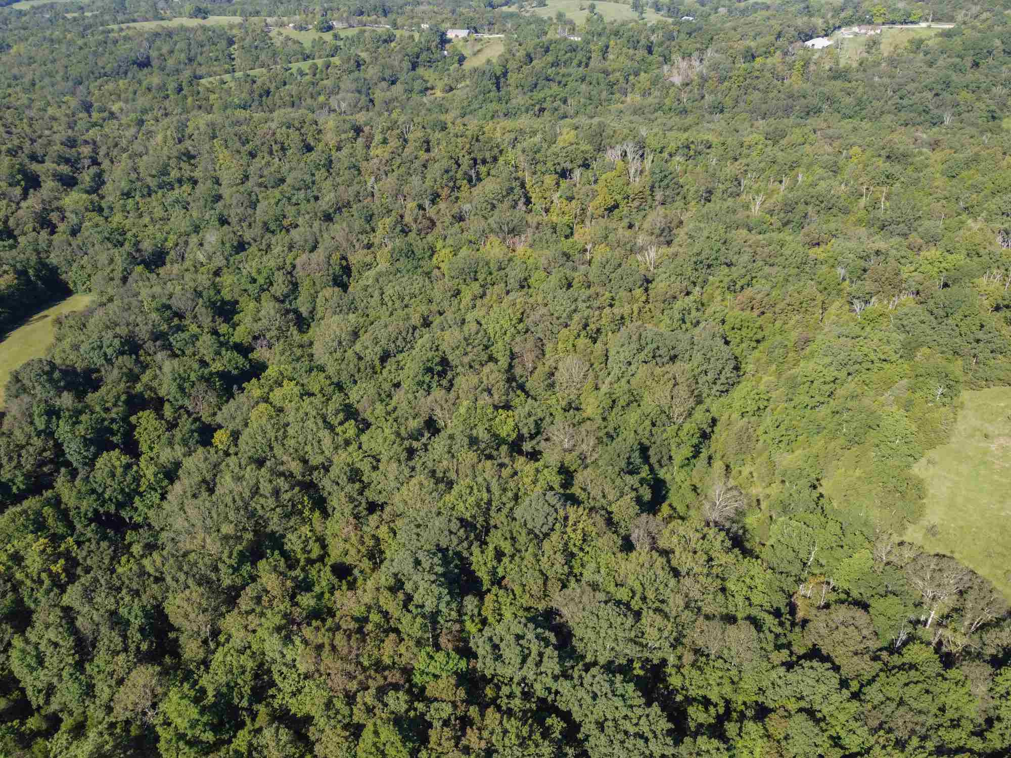 8690 A Jonesville Road Dry Ridge, KY 41035 - Photo 12 of 15