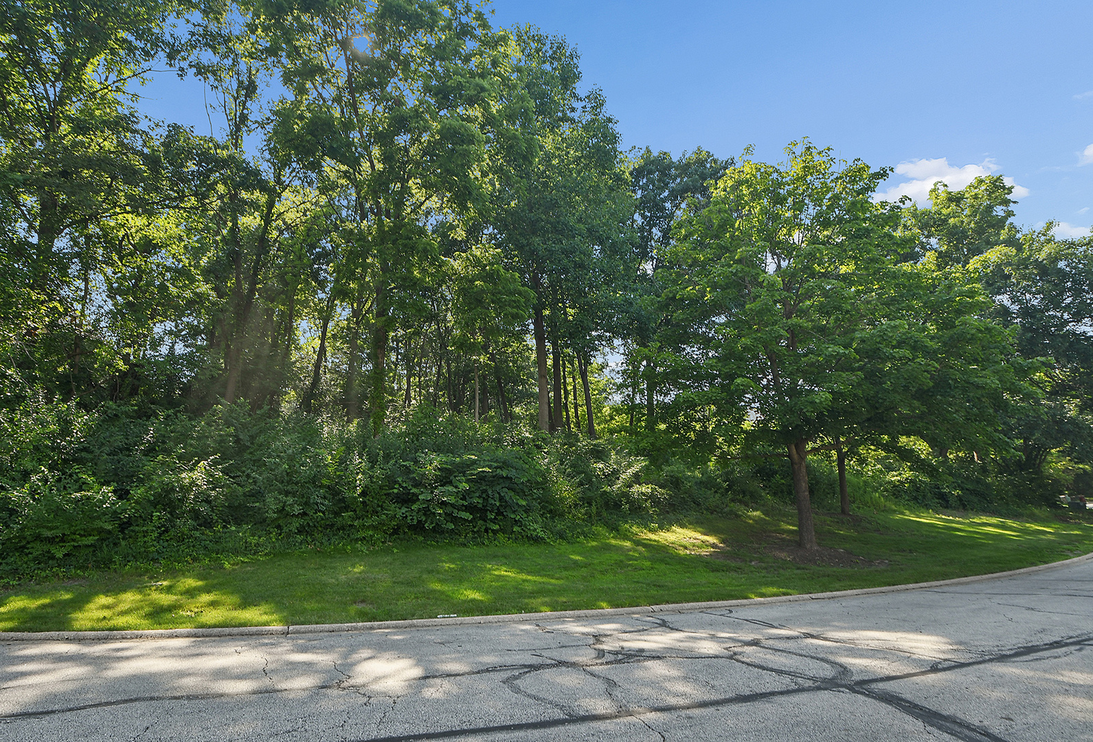 9620 Pacific Court Burr Ridge, IL 60527 - Photo 14 of 25