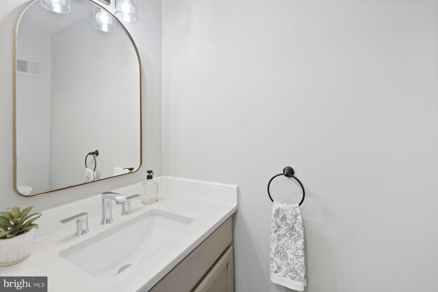 7322 Greentree Road Bethesda, MD 20817 - Photo 21 of 53 a bathroom with a sink vanity and a mirror