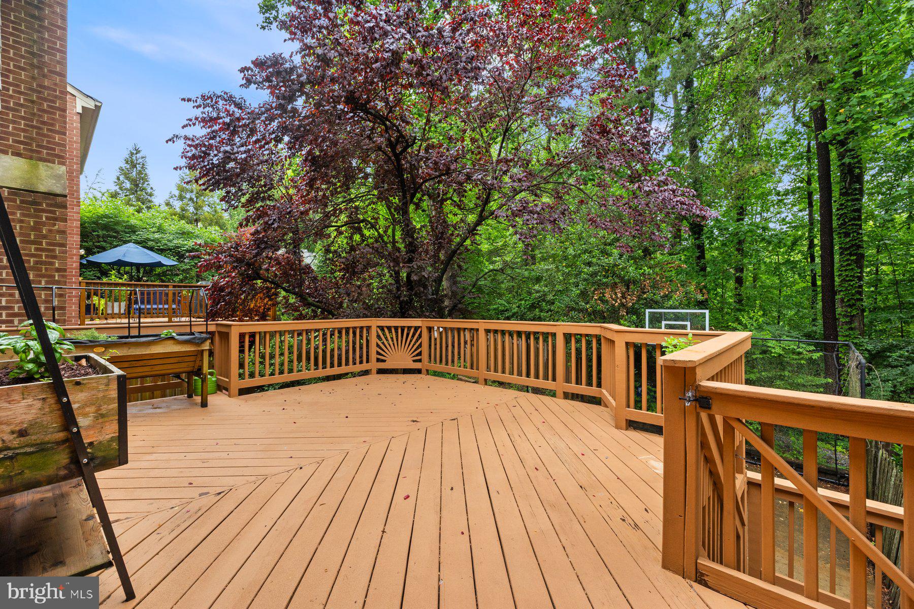 7322 Greentree Road Bethesda, MD 20817 - Photo 45 of 53 a view of balcony with deck and wooden floor