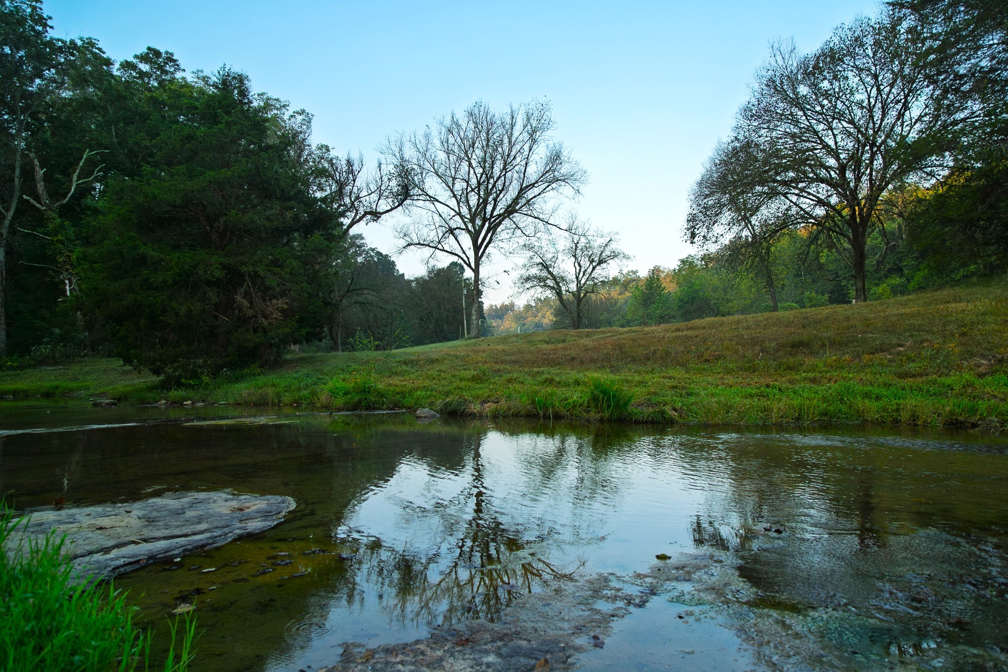 110 Wade Reed Road White Bluff, TN 37187 - Photo 22 of 94 Gallery Image 22