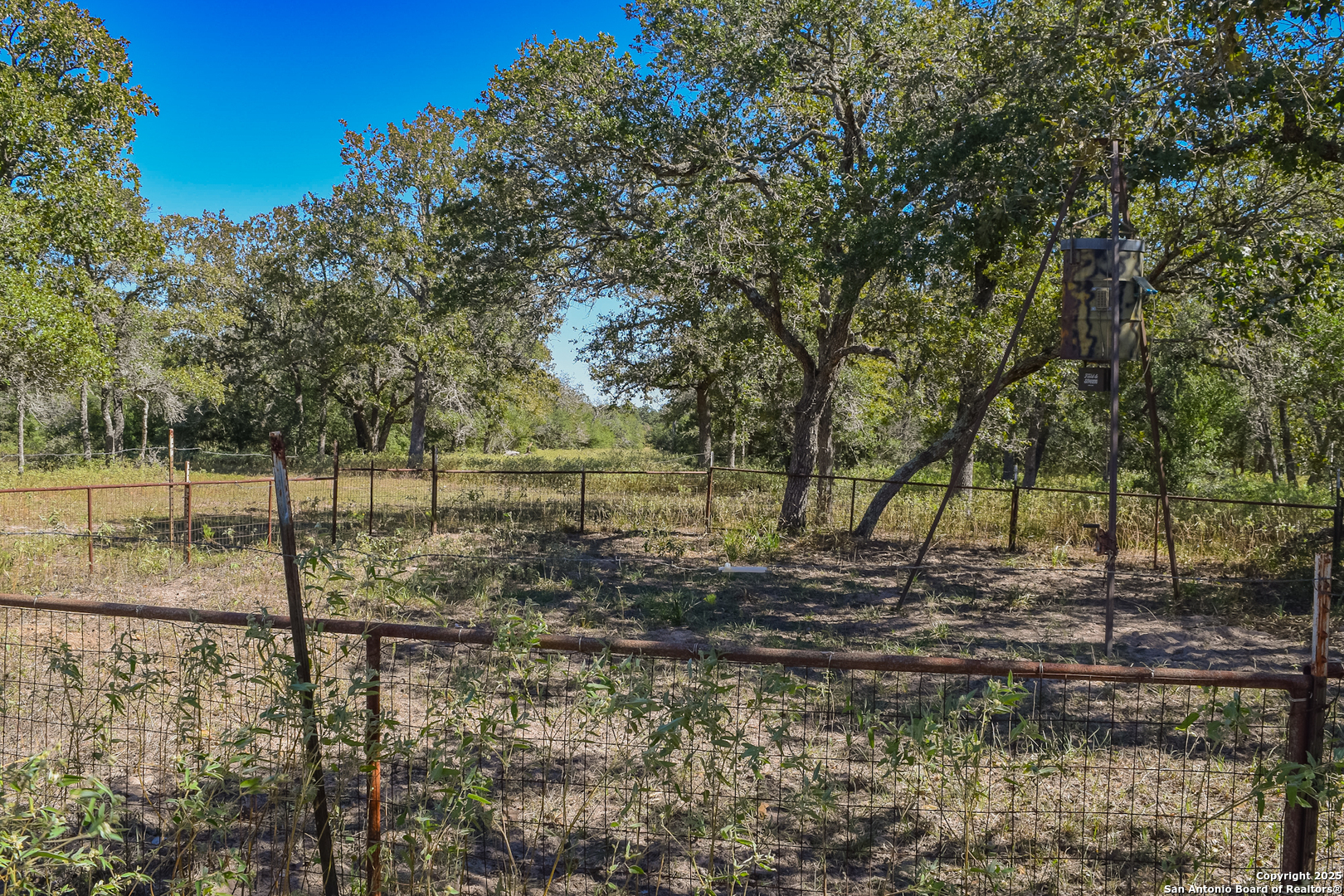 Tbd Fm 682 Yoakum, TX 77995 - Photo 12 of 68 a view of a yard with large trees