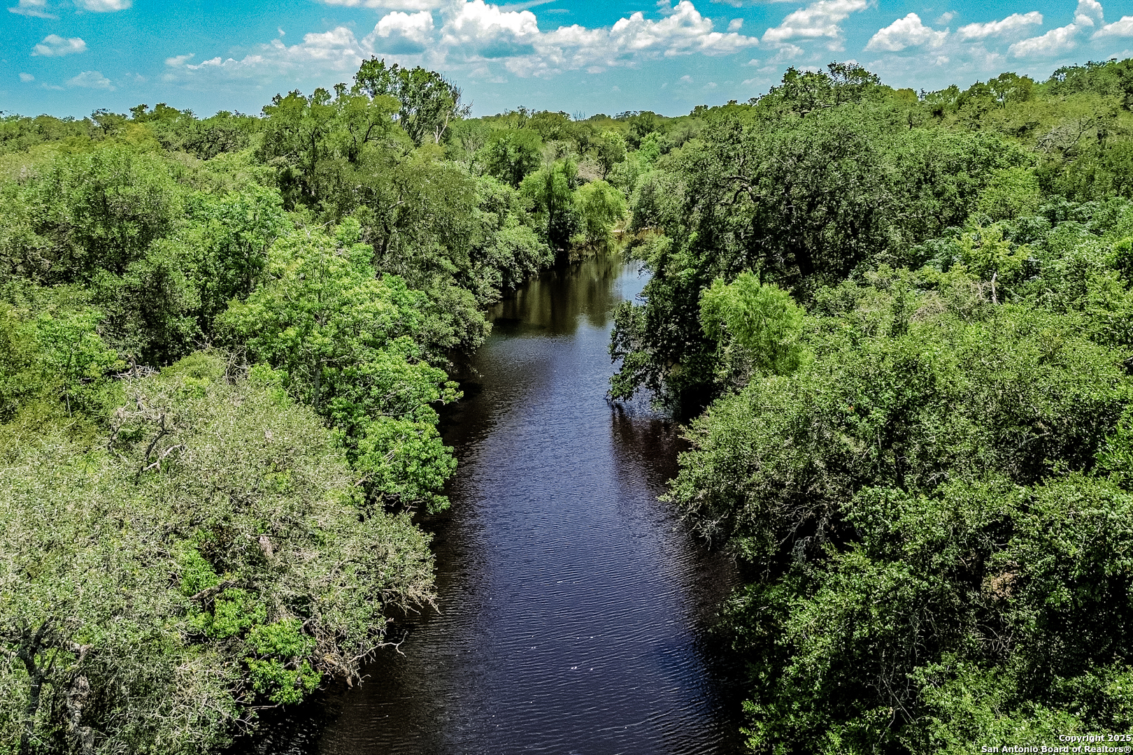 Tbd Fm 682 Yoakum, TX 77995 - Photo 13 of 68 a view of a garden with plants