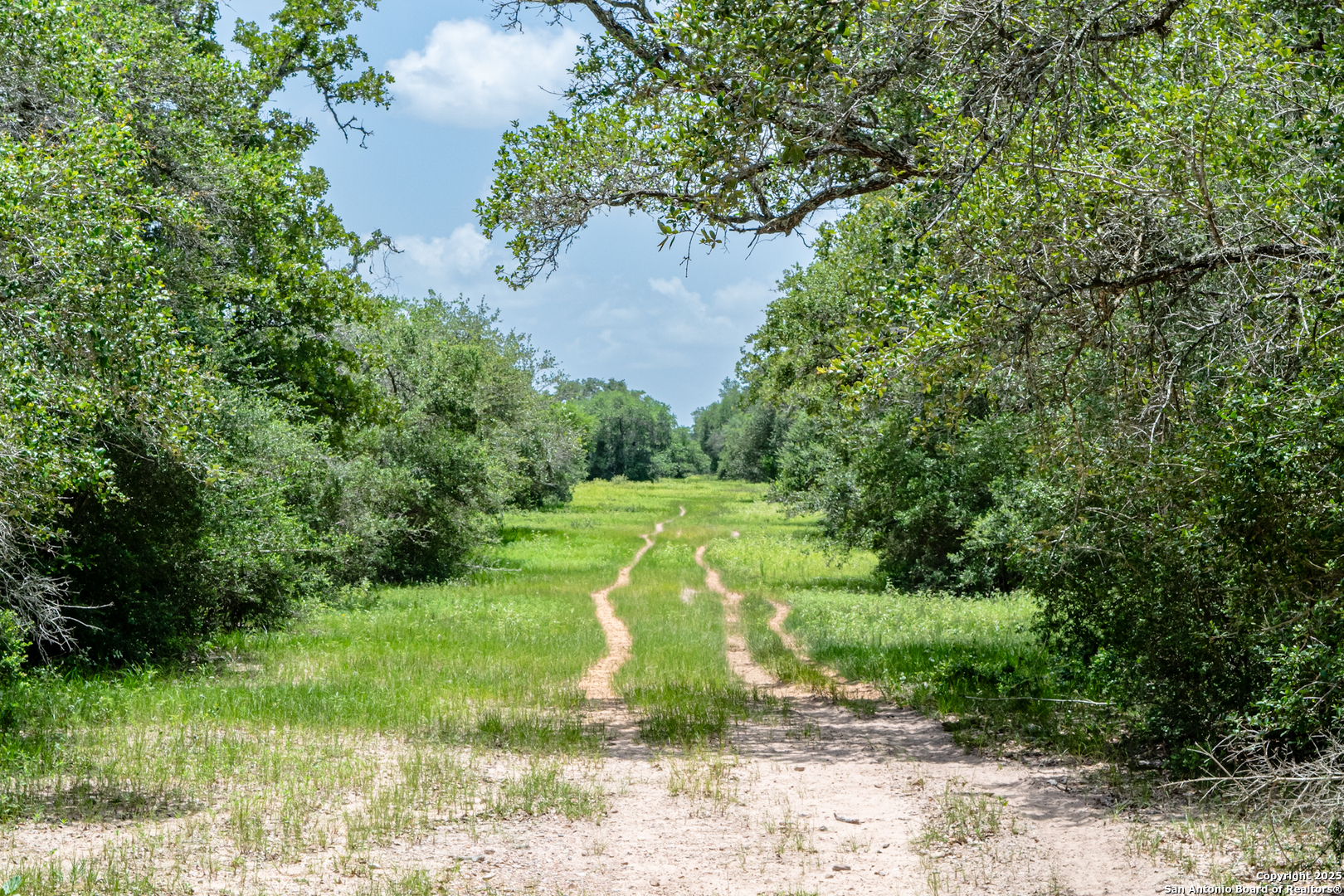 Tbd Fm 682 Yoakum, TX 77995 - Photo 14 of 68 a view of a garden with a fountain