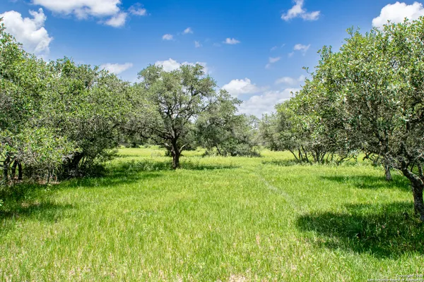 a view of outdoor space with green field and trees
