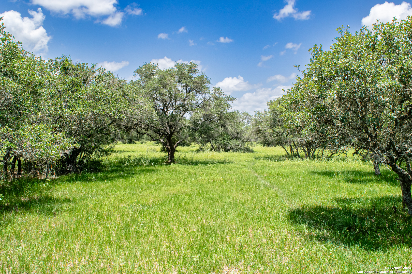 Tbd Fm 682 Yoakum, TX 77995 - Photo 15 of 68