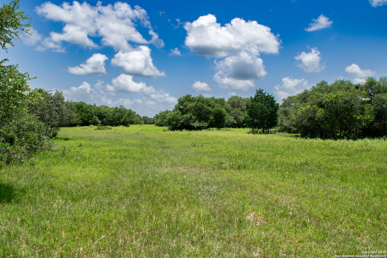 Tbd Fm 682 Yoakum, TX 77995 - Photo 16 of 68 a view of a big yard with a house in the background