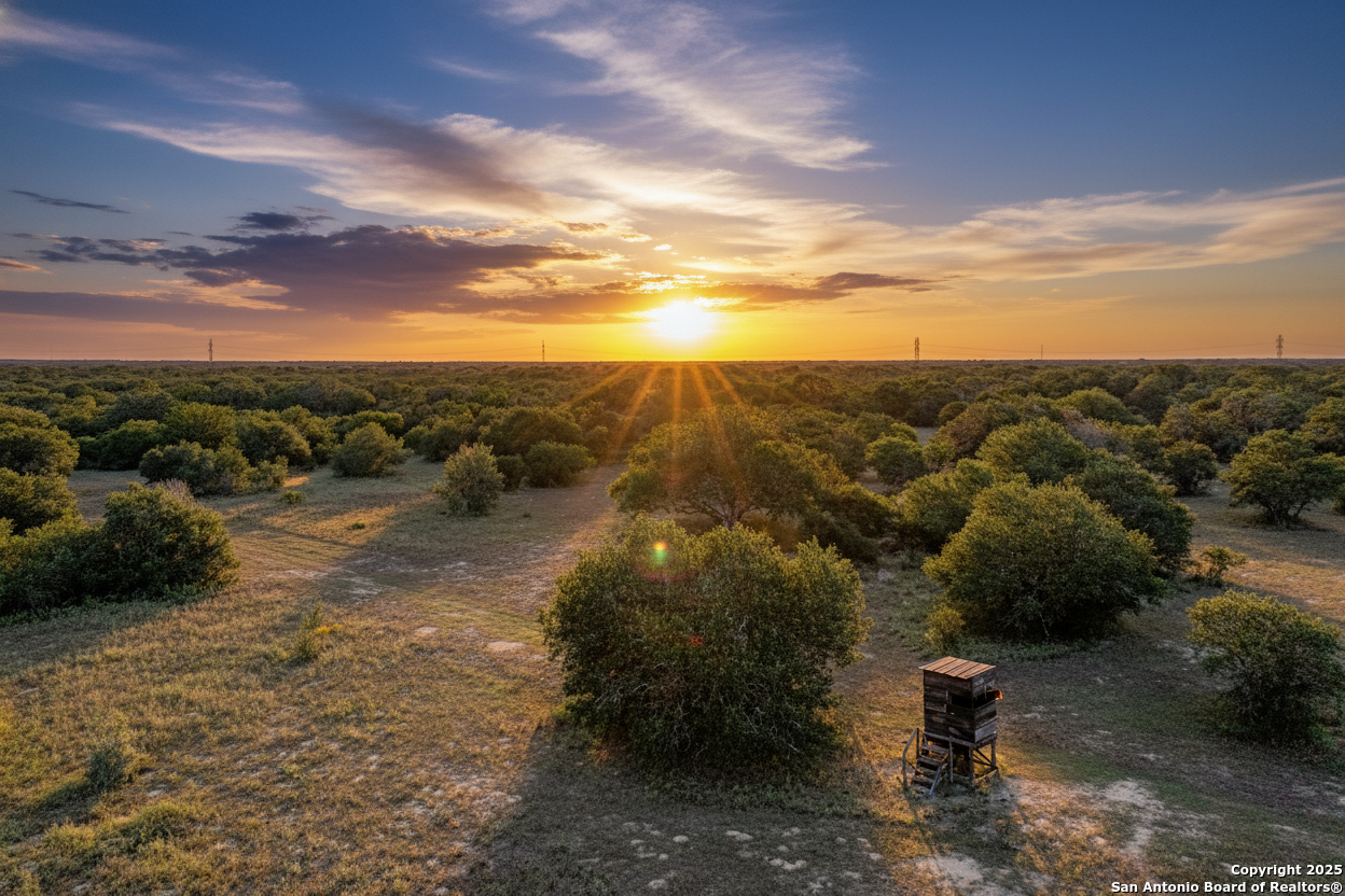 Tbd Fm 682 Yoakum, TX 77995 - Photo 17 of 68
