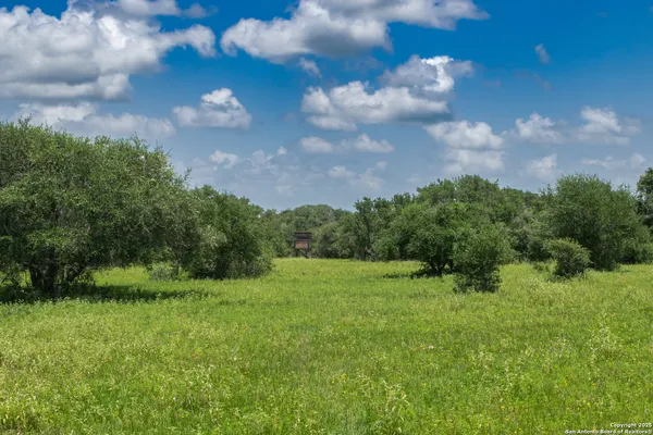 a view of a yard in front of the house