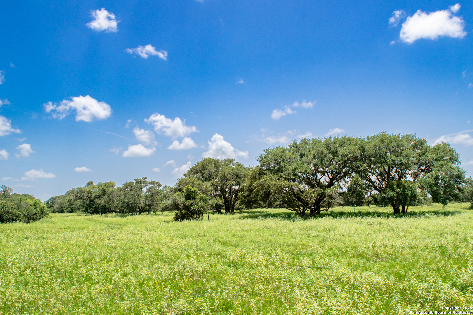 Tbd Fm 682 Yoakum, TX 77995 - Photo 20 of 68