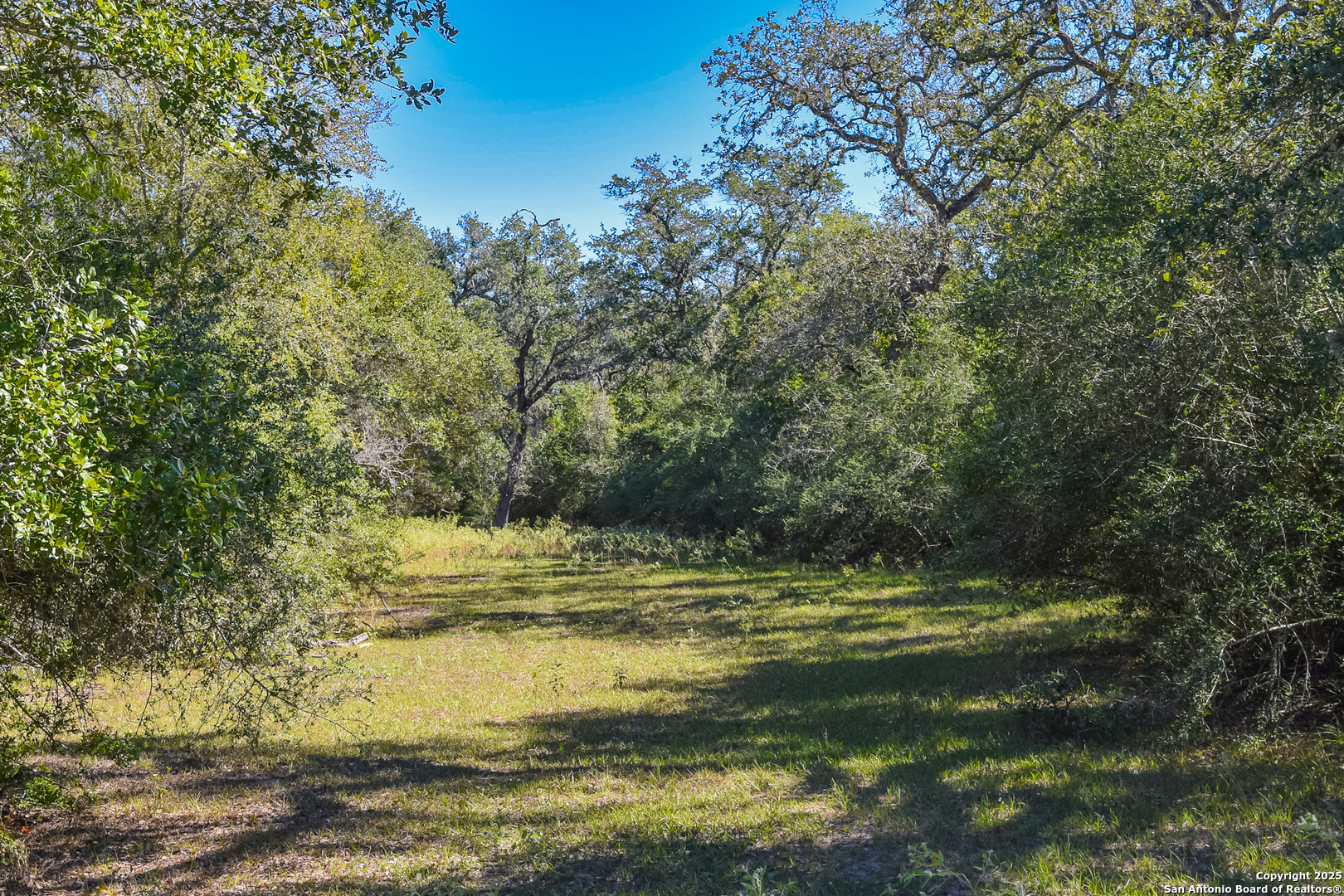 Tbd Fm 682 Yoakum, TX 77995 - Photo 23 of 68