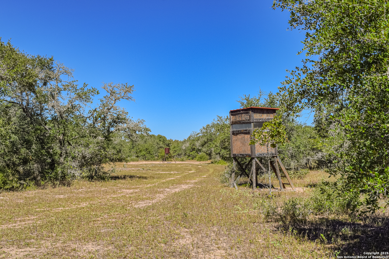 Tbd Fm 682 Yoakum, TX 77995 - Photo 27 of 68 a view of a yard