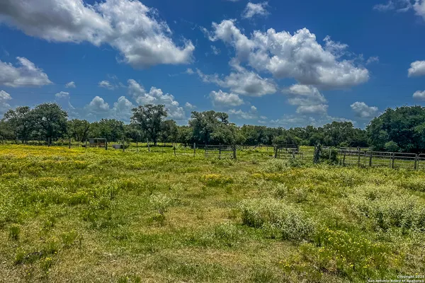 a view of a garden with lawn chairs and large trees