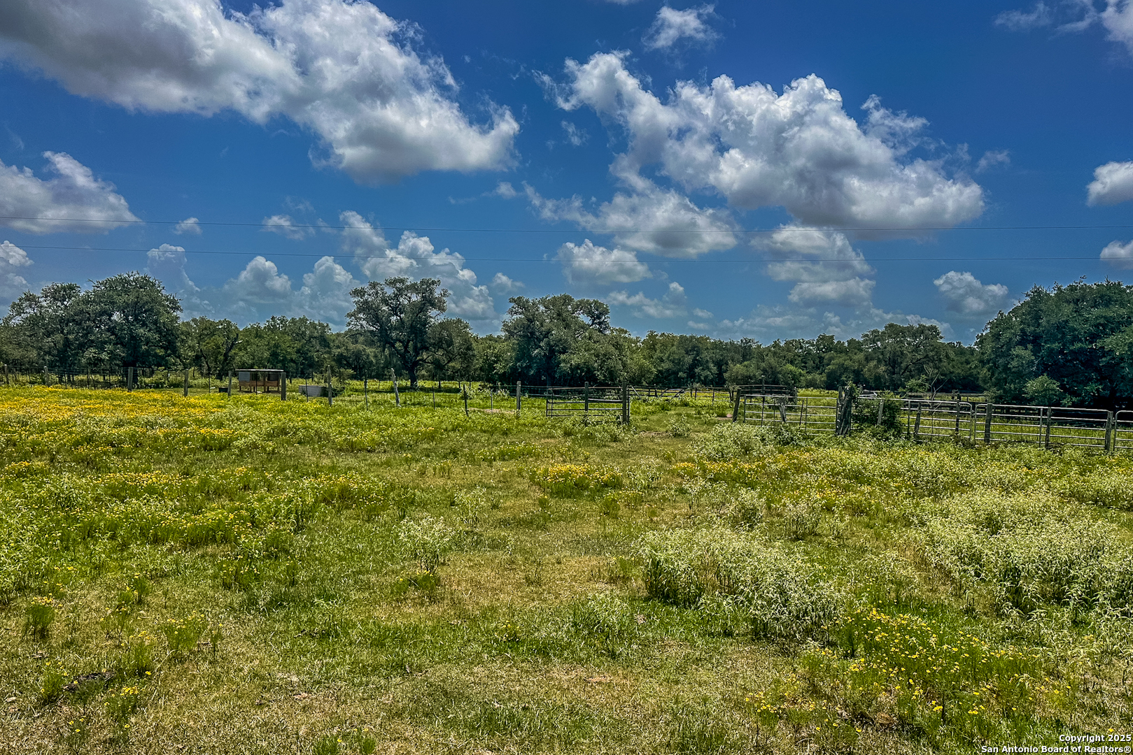 Tbd Fm 682 Yoakum, TX 77995 - Photo 36 of 68 a view of a lake with a house in the background
