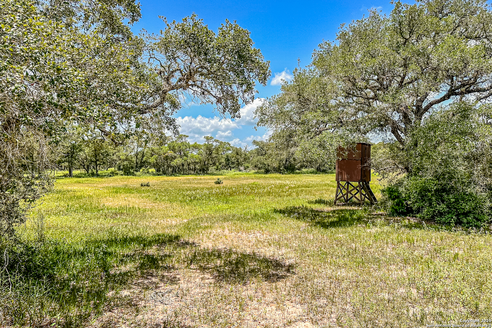Tbd Fm 682 Yoakum, TX 77995 - Photo 39 of 68 a view of a garden with an outdoor space