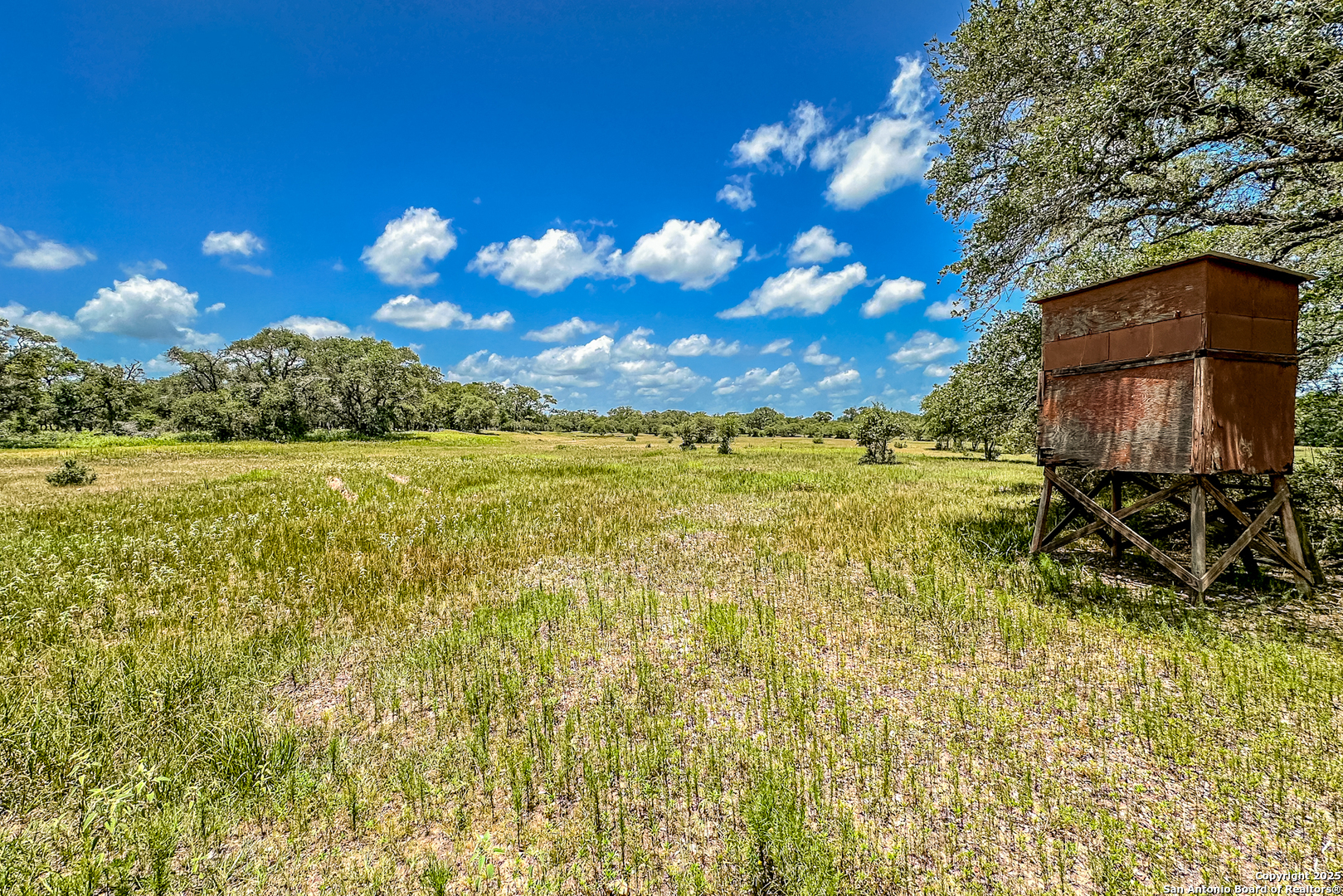Tbd Fm 682 Yoakum, TX 77995 - Photo 40 of 68 a view of a yard with swimming pool