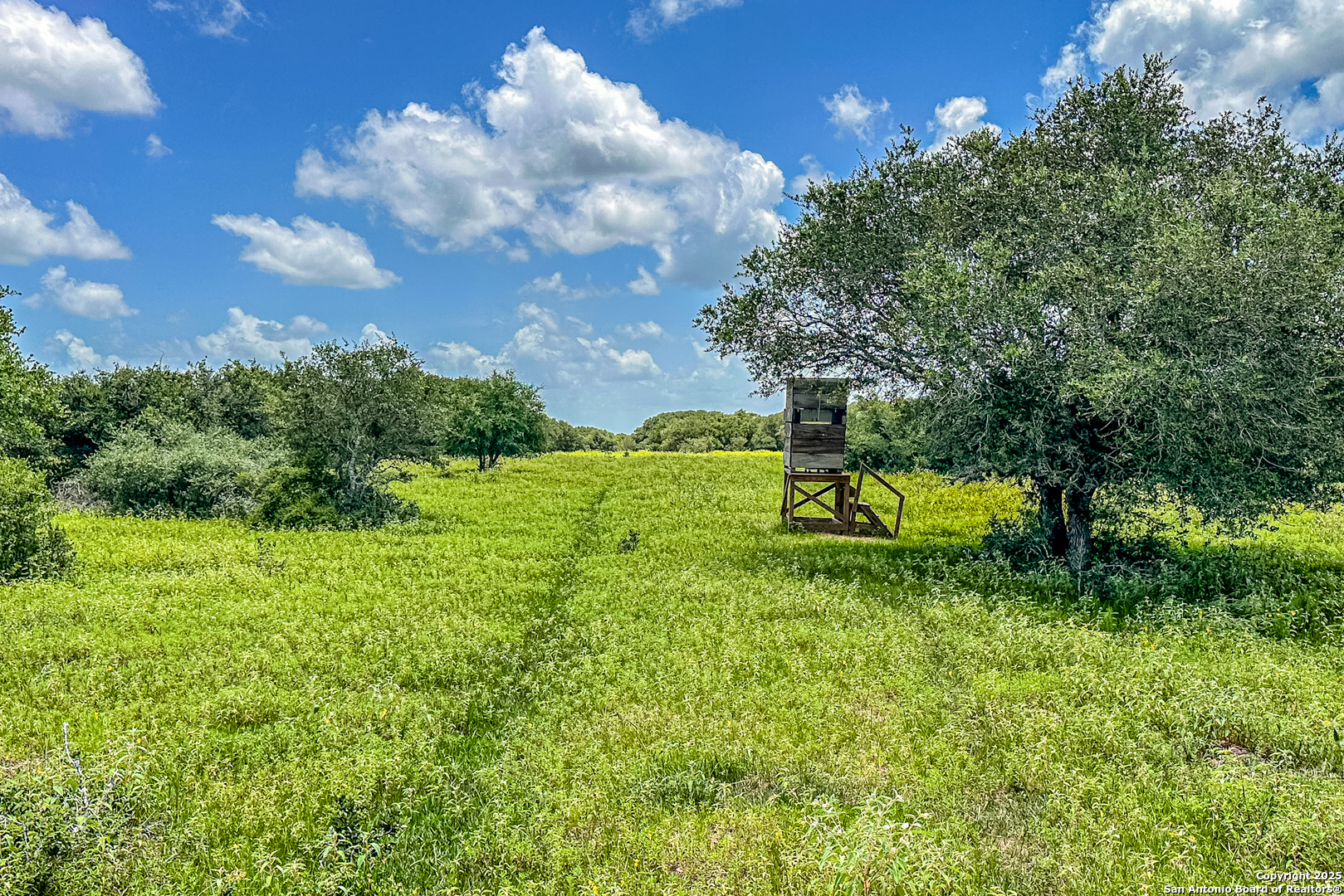 Tbd Fm 682 Yoakum, TX 77995 - Photo 41 of 68