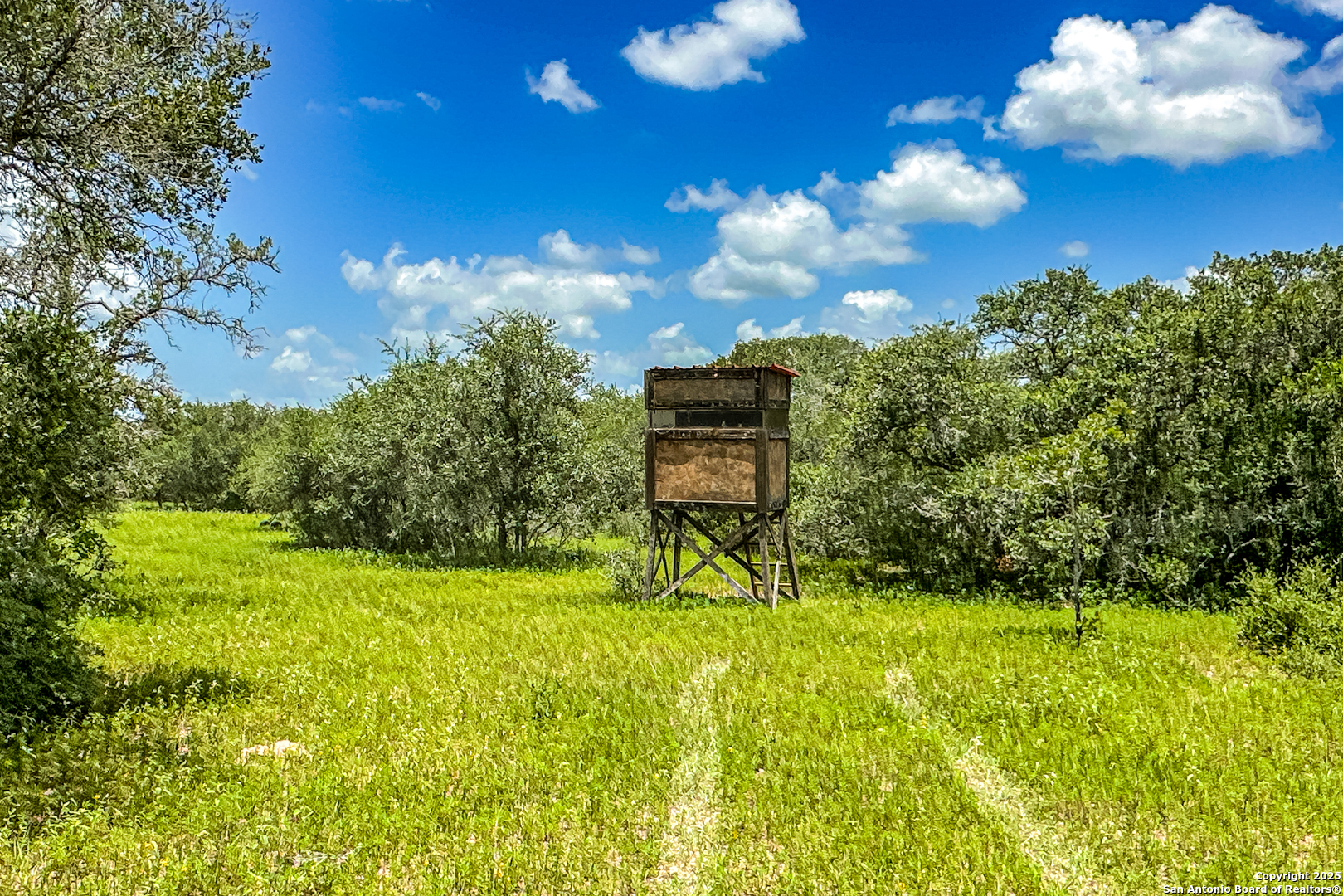 Tbd Fm 682 Yoakum, TX 77995 - Photo 42 of 68 a view of an outdoor space and yard