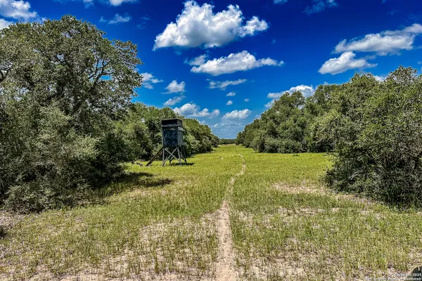 a view of a beach with a yard