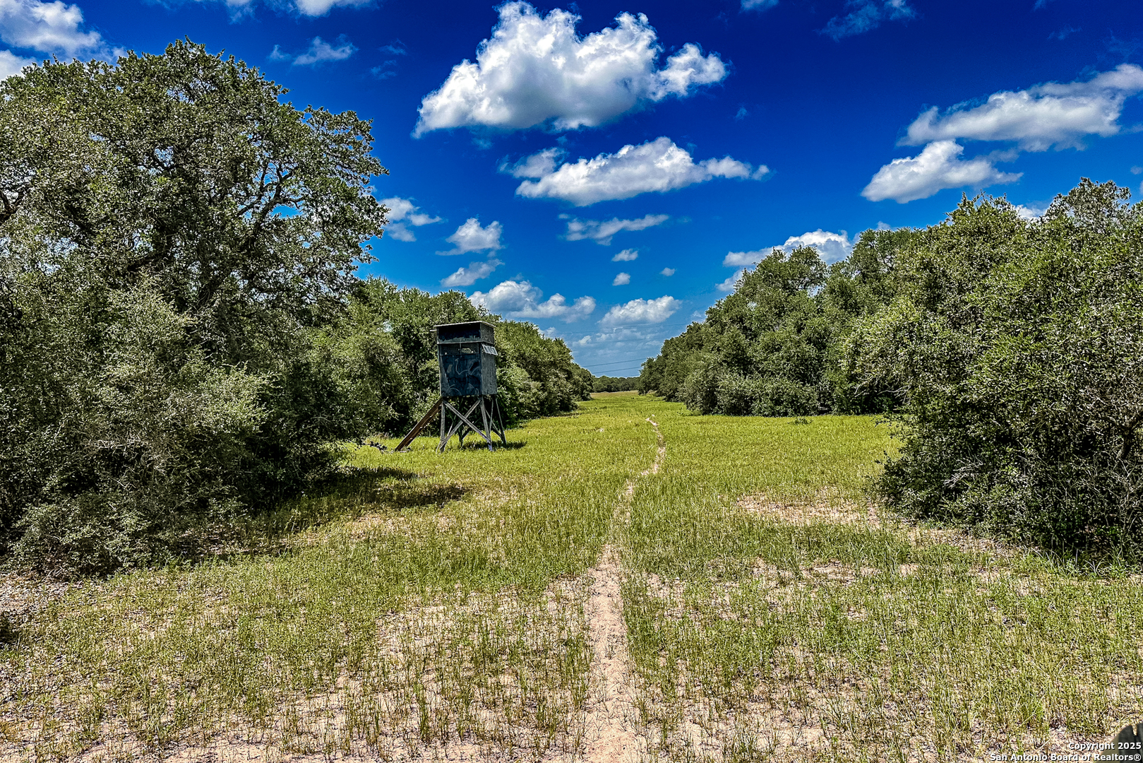 Tbd Fm 682 Yoakum, TX 77995 - Photo 46 of 68 a view of garden