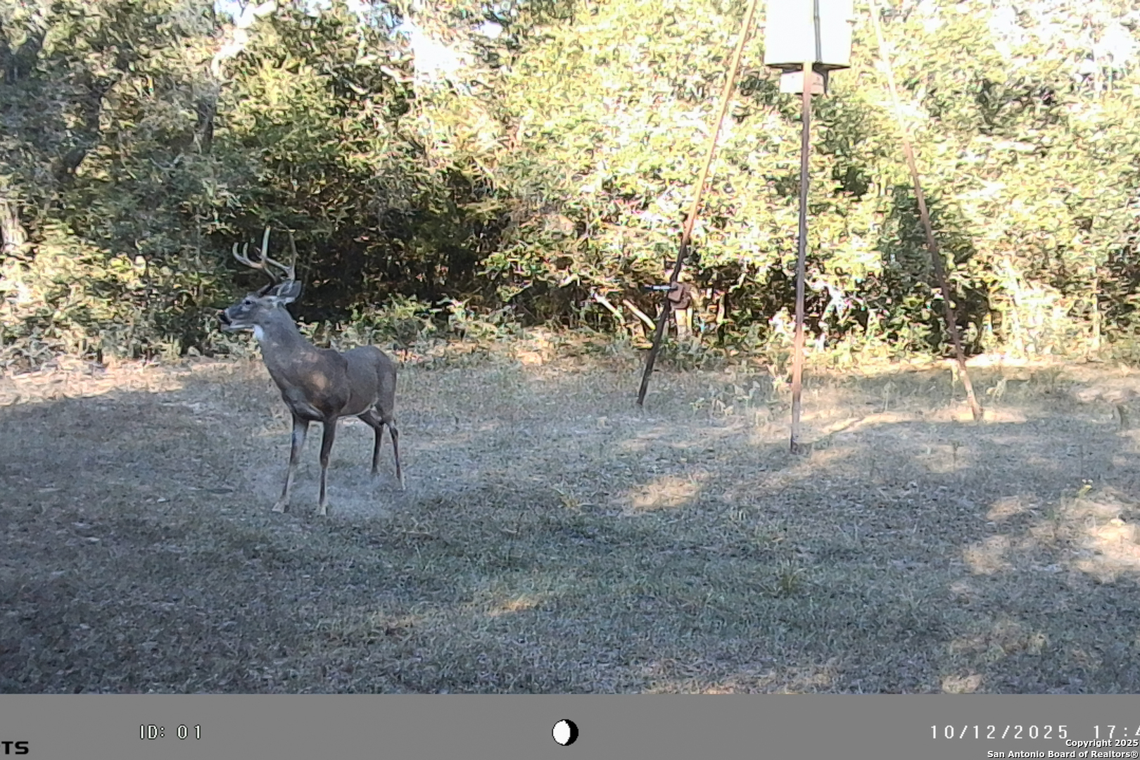 Tbd Fm 682 Yoakum, TX 77995 - Photo 48 of 68