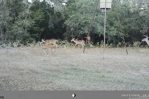 a view of a yard with wooden fence