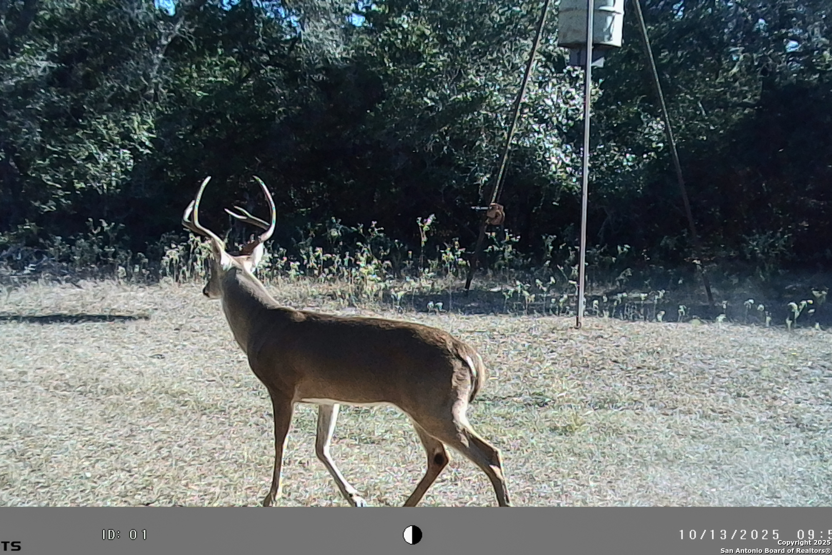 Tbd Fm 682 Yoakum, TX 77995 - Photo 50 of 68 a view of a wooden floor and trees in the patio