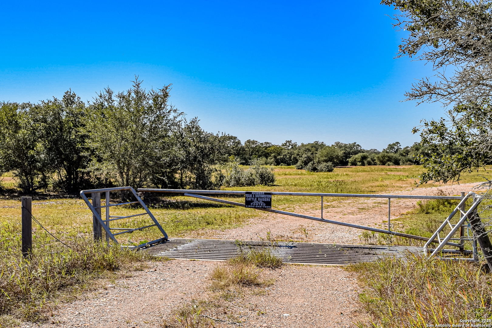 Tbd Fm 682 Yoakum, TX 77995 - Photo 5 of 68 a view of a swimming pool with a lounge chair and the palm tree