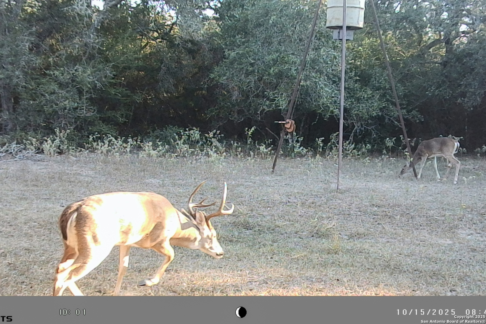 Tbd Fm 682 Yoakum, TX 77995 - Photo 51 of 68 a view of outdoor space and yard