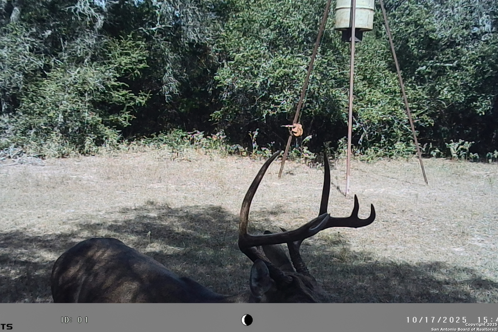 Tbd Fm 682 Yoakum, TX 77995 - Photo 52 of 68