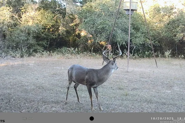 $3,771,680 | Tbd Fm 682, Yoakum, TX 77995