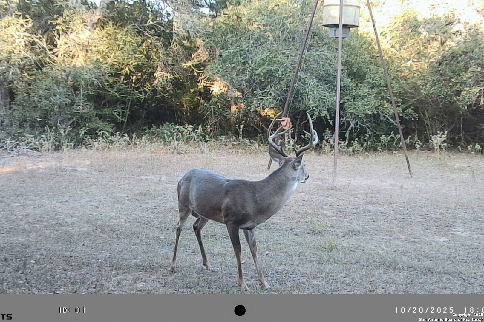 Tbd Fm 682 Yoakum, TX 77995 - Photo 53 of 68