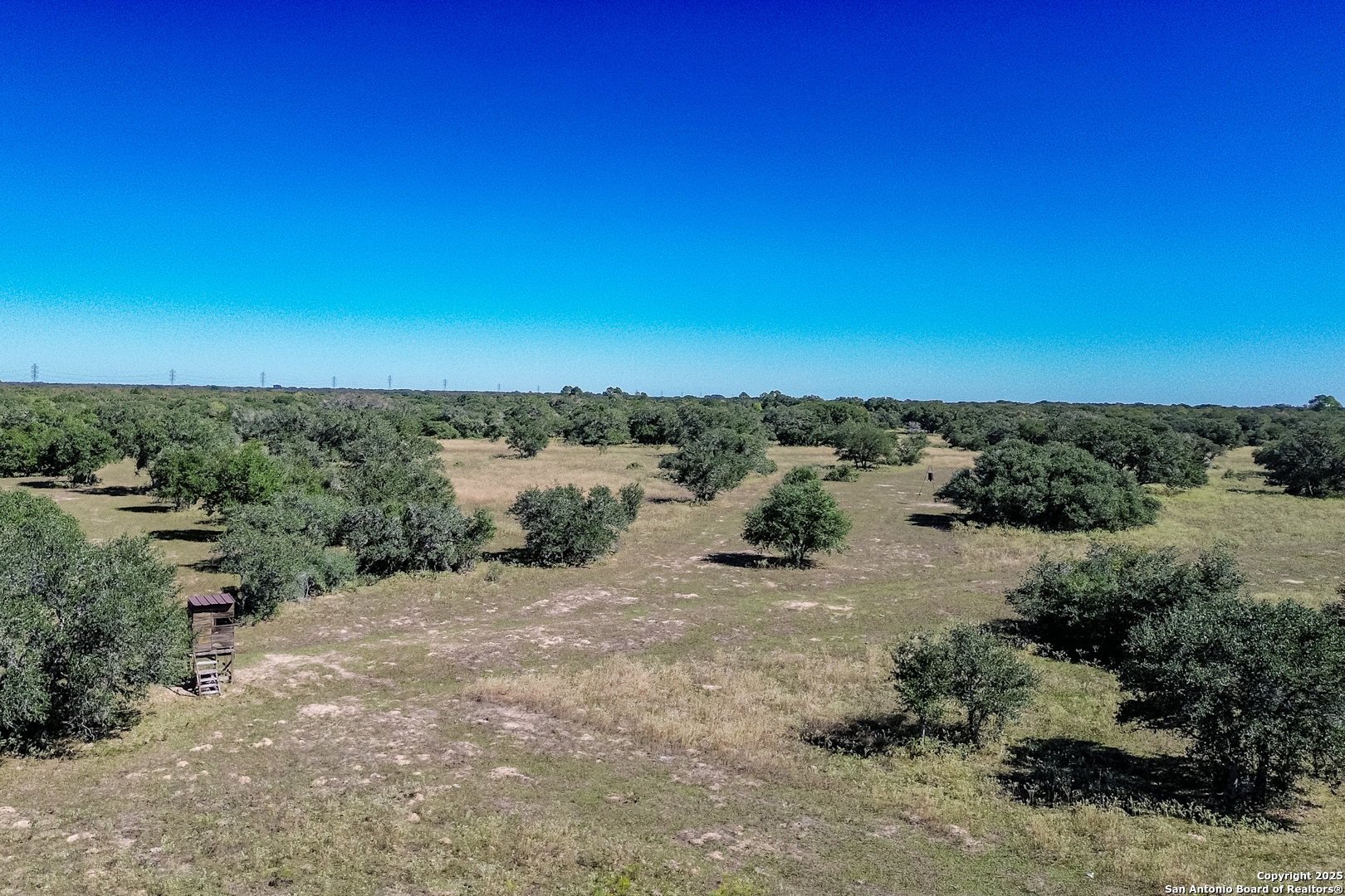 Tbd Fm 682 Yoakum, TX 77995 - Photo 57 of 68 a view of a dry yard with lots of trees