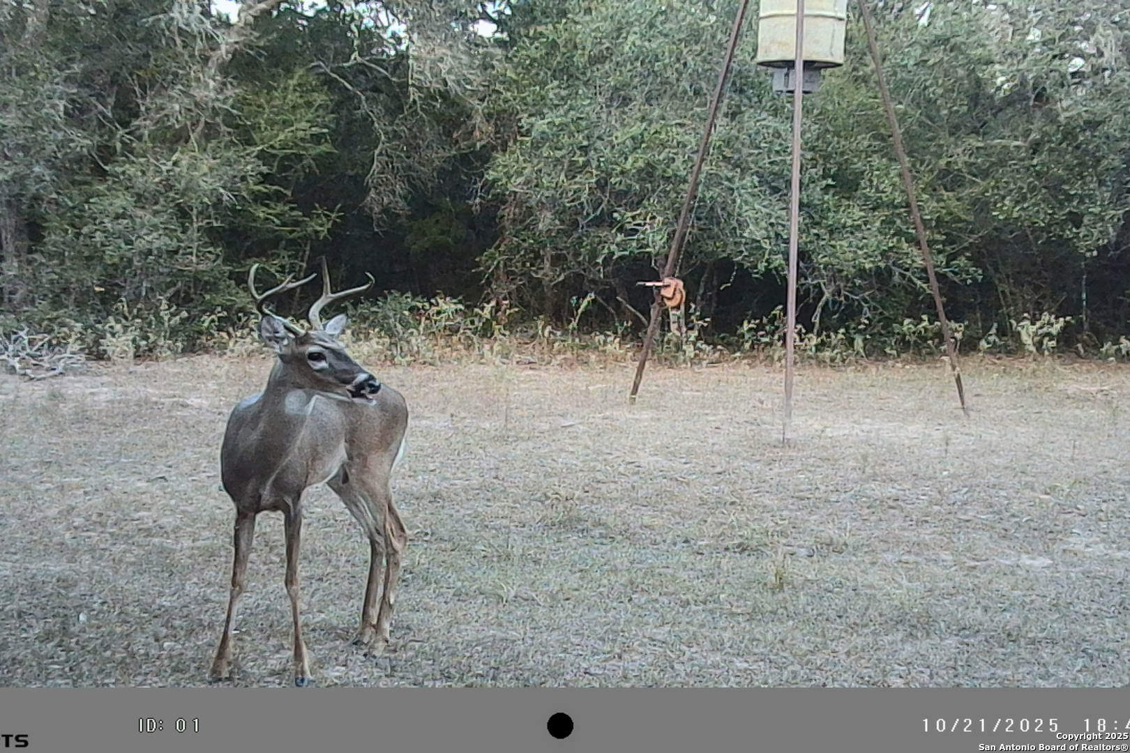 Tbd Fm 682 Yoakum, TX 77995 - Photo 62 of 68 a view of a yard