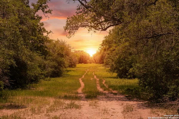 a view of a big yard with lots of green space