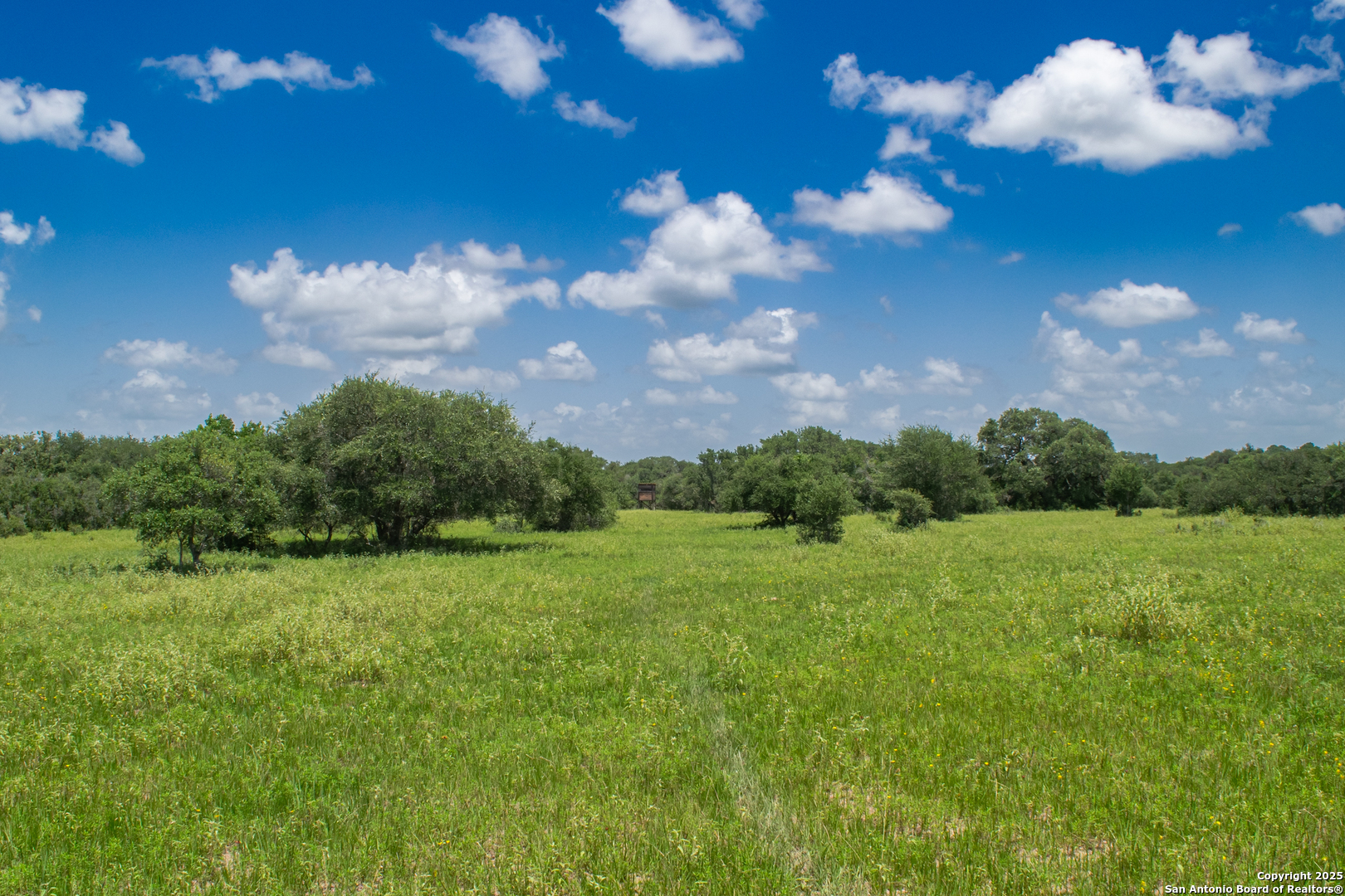Tbd Fm 682 Yoakum, TX 77995 - Photo 8 of 68 a view of a big yard with lots of green space