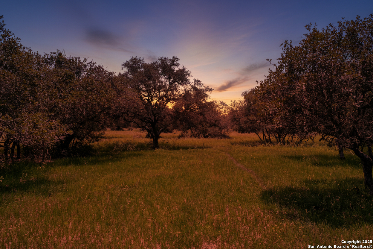 Tbd Fm 682 Yoakum, TX 77995 - Photo 9 of 68 a view of outdoor space and yard