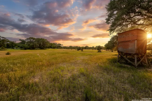 a view of a yard with wooden fence