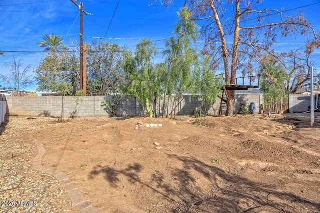 a view of large tree in front of a house