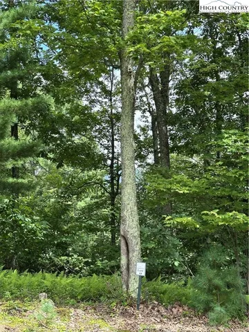 a map view of a forest