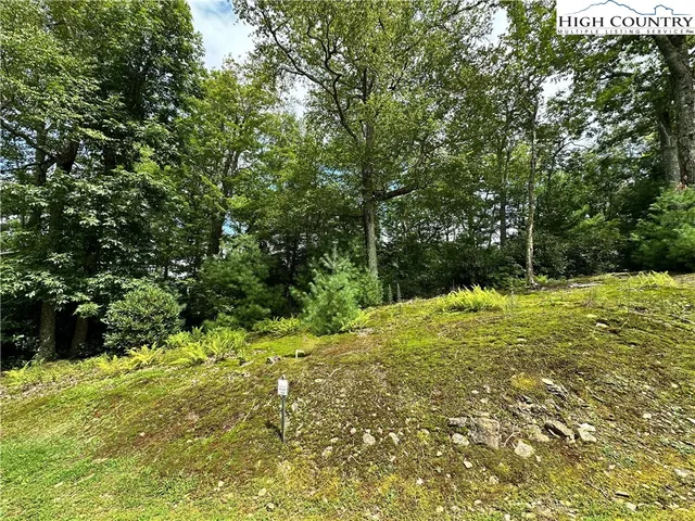 a view of a yard with trees