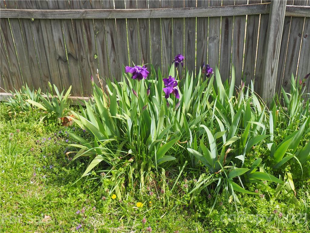 2037 South Post Road Grover, NC 28073 - Photo 26 of 26 Gallery Image 26
