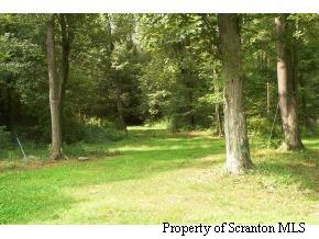 0 Rr 2 Nicholson, PA 18446 - Photo 4 of 4 Gallery Image 4