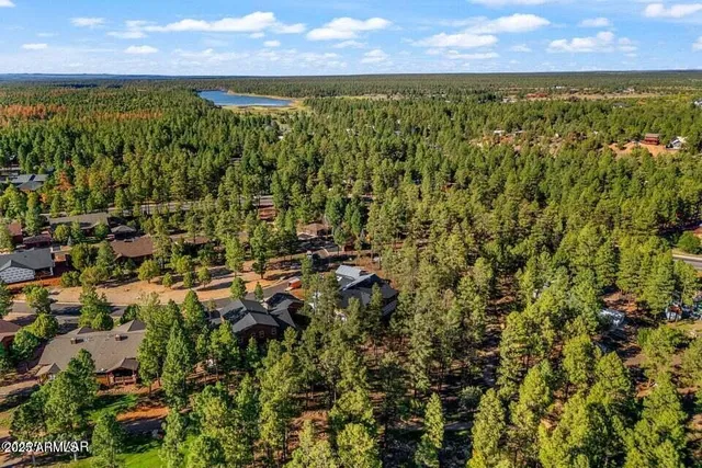 an aerial view of residential houses with outdoor space and trees all around