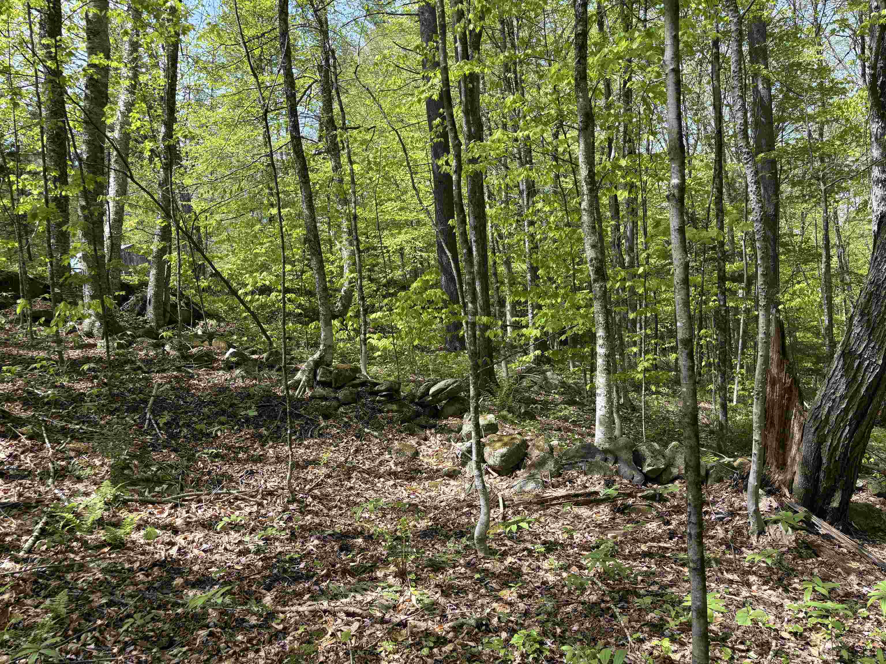 0 Snell Road Chester, VT 05143 - Photo 8 of 14