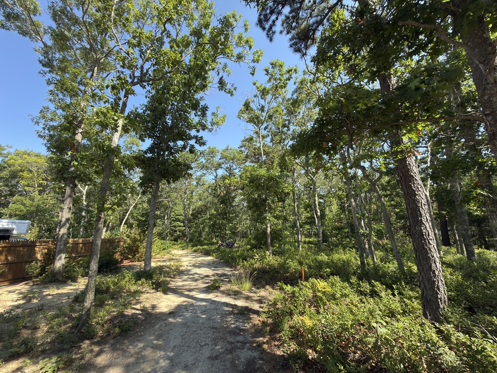 202 Ashumet Road Falmouth, MA 02536 - Photo 21 of 28 Gallery Image 21